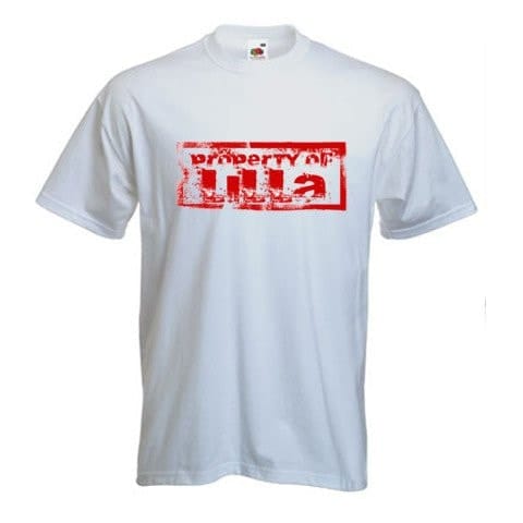 The Vietnam Nationalist Party (1927-1954)