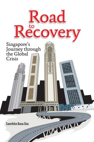 Road to Recovery Singapore's Journey Through the Global Crisis