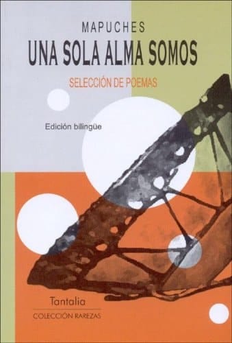 Una Sola Alma Somos (Spanish Edition)