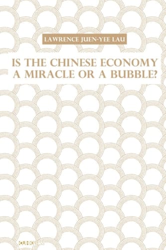 Is the Chinese Economy a Miracle or a Bubble?