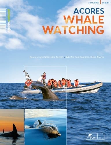 Açores whale watching baleias e golfinhos dos Açores