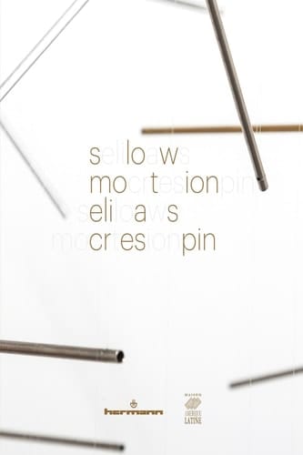 Formes de l'action poétique