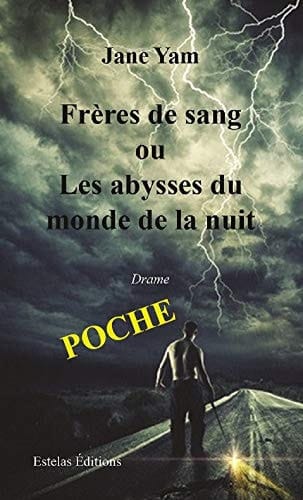 Frères de sang ou Les abysses du monde de la nuit roman