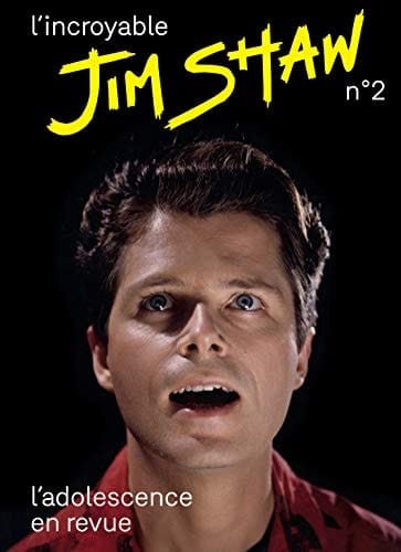 Jim Shaw, l'irrévérencieux