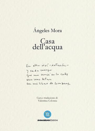 Casa dell'acqua. Poesie (1982-2022)