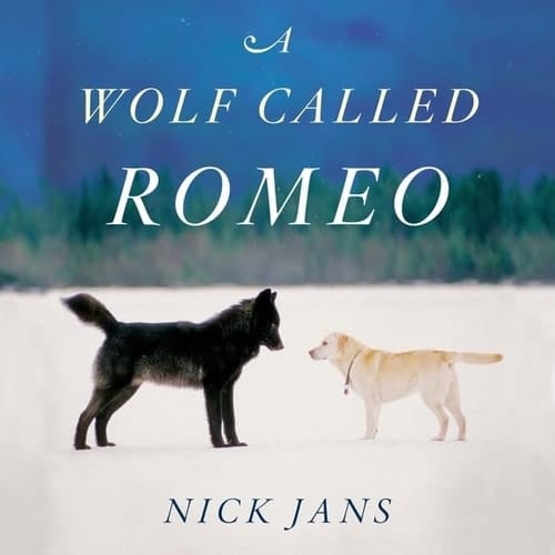 A Wolf Called Romeo: Library Edition