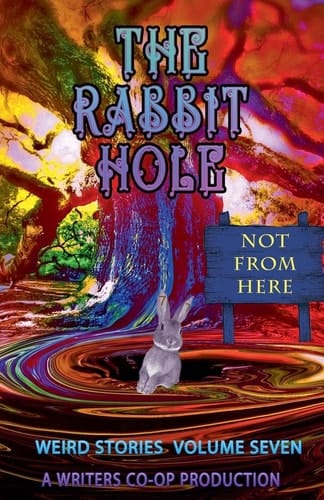 The Rabbit Hole VII Not From Here