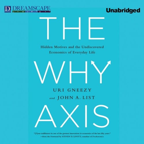 The Why Axis: Hidden Motives and the Undiscovered Economics of E