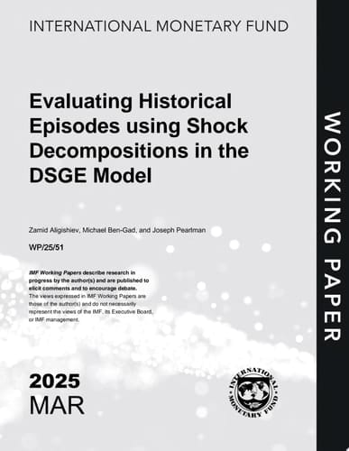 Evaluating Historical Episodes Using Shock Decompositions in the DSGE Model