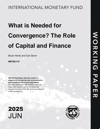 What is Needed for Convergence? The Role of Capital and Finance