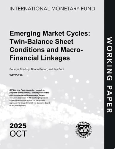 Emerging Market Cycles Twin-Balance Sheet Conditions and Macro- Financial Linkages