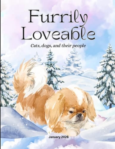 Furrily Loveable - January 2026: Cats, dogs, and their people