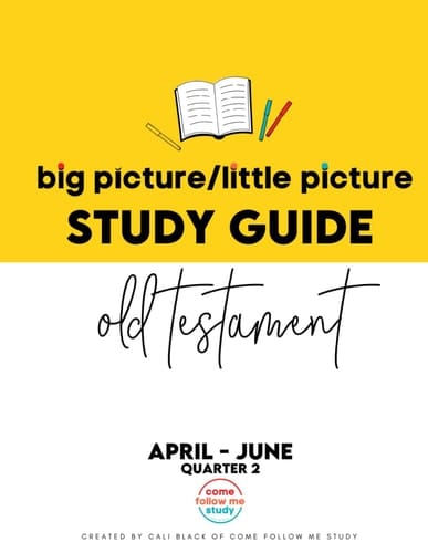 Study Guide of Old Testmanet Big Picture/Little Picture Apr-Jun: Helping busy latter-day saints learn the context for scripture reading