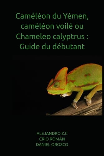 Caméléon du Yémen, caméléon voilé ou Chameleo calyptrus - Guide du débutant