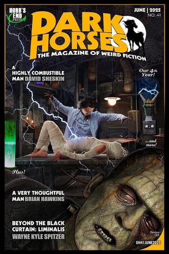 Dark Horses: The Magazine of Weird Fiction No. 41: June 2025 (Dark Horses Magazine)
