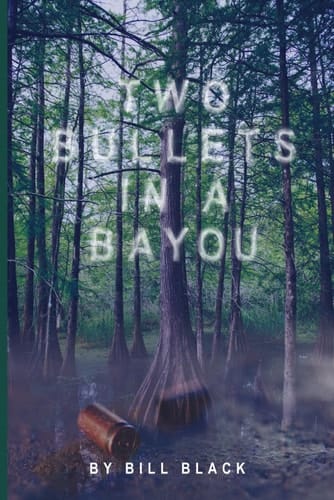 Two Bullets in a Bayou - An Erica Banks Suspense Thriller