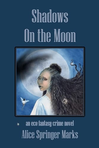 Shadows On the Moon