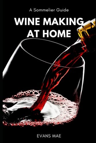 Wine Making at Home - A Sommelier Guide: Advanced Techniques