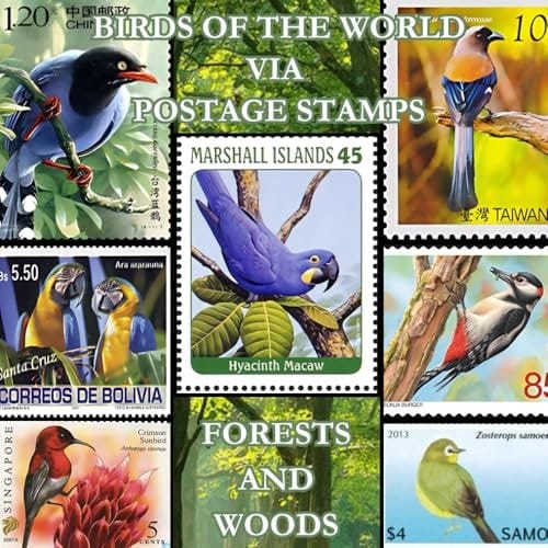 birds of the world via postage stamps : forests and woods: Discovering the Beauty of the World's Birds Through Stamp Collecting