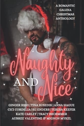 Naughty and Nice: A Romantic Galena Christmas Anthology