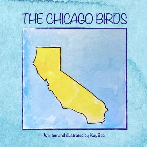 The Chicago Birds