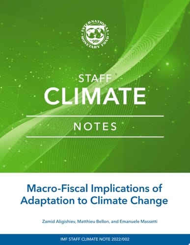 Macro-Fiscal Implications of Adaptation to Climate Change
