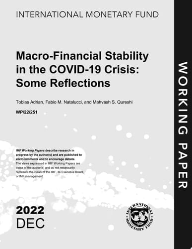 Macro-Financial Stability in the COVID-19 Crisis: Some Reflections