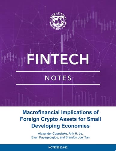 Macro-Financial Implications of Foreign Crypto Assets for Small Developing Economies
