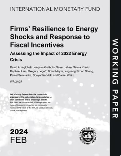 Firms’ Resilience to Energy Shocks and Response to Fiscal Incentives: Assessing the Impact of 2022 Energy Crisis