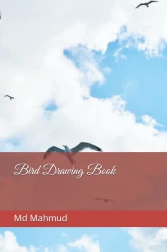 Bird Drawing Book