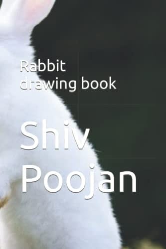 Rabbit drawing book