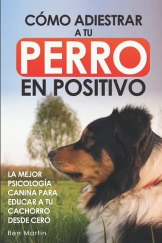 Cómo Adiestrar a tu Perro en Positivo: La Mejor Psicología Canina para Educar a tu Cachorro desde Cero: Guía Completa de Técnicas de Adiestramiento y Condicionamiento Canino (Spanish Edition)
