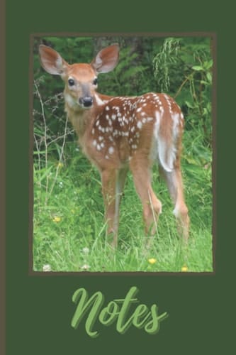 Fawn Notebook: Maine photography White Tailed Deer Fawn