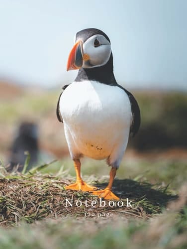 Puffin 8.5" x 11.0" A4 Notebook | Wildlife Photography | 120 Page Lined Notebook: Puffin Photography Notebook (Steven Murphy Photography Products)