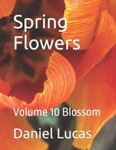Spring Flowers: Volume 10 Blossom