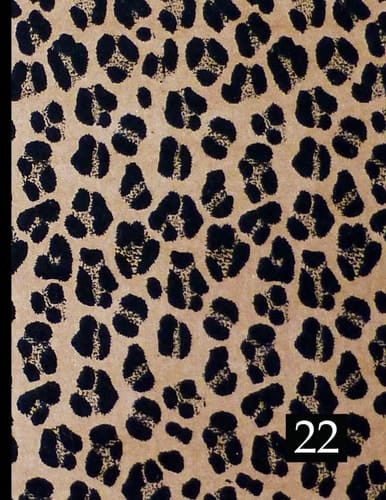 2022 Daily 24 Hour Planner: Hourly Schedule Book, Use for Appointments, Academics, Time Slots for all Hours of the Day, Contacts, Passwords, Moon Phases, Holidays, Note Paper,Great Gift, Leopard Cover