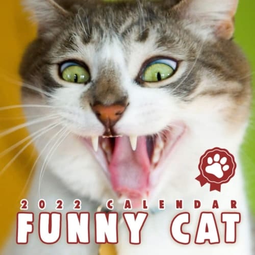 Funny Cat Calendar 2022 Squared Monthly Calendar Mini Planner January 2022 to December 2022 Bonus Last 4 Months 2021 | Gift for Cat Person and Animal Lover | Classroom, Home, Office