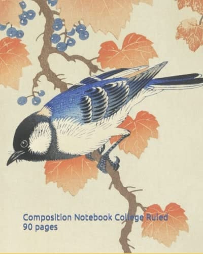 Composition Notebooks College Ruled Aesthetic: Composition Notebooks college ruled aesthetic cover