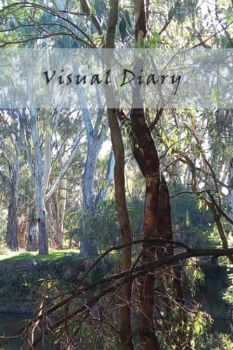 Visual Diary: Journalling with Images