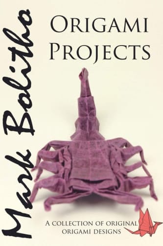 Origami Projects A Collection of Original Origami Designs