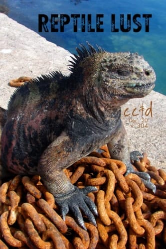 Reptile Lust: cc&d magazine v304 (the December 2020 issue)