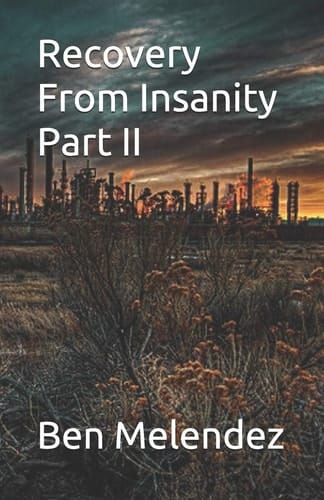 Recovery From Insanity Part II