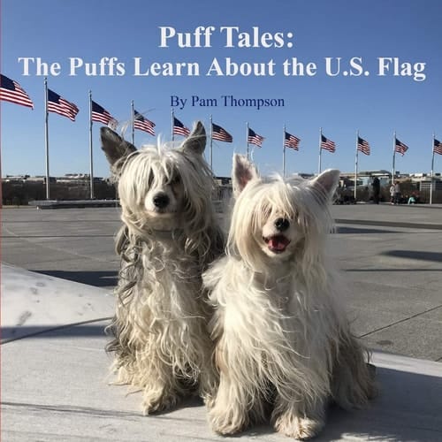 Puff Tales The Puffs Learn about the U.S. Flag