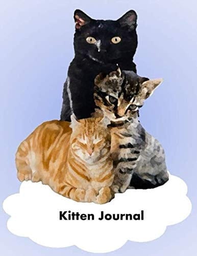 Kitten Journal