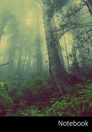 Notebook: Carnet de notes forêt enchantée | pointillé | format A5