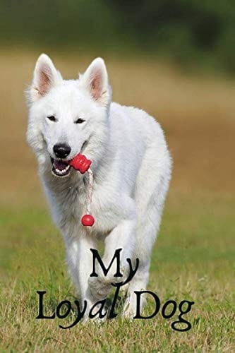 My Loyal Dog