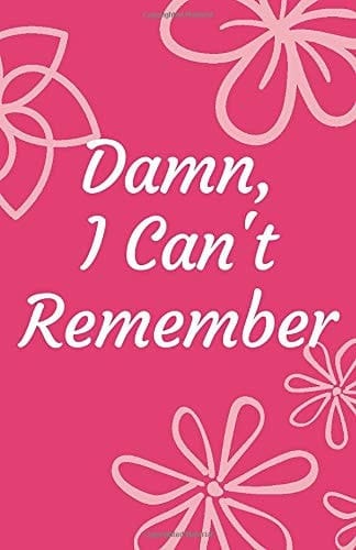 Damn, I Can't Remember: A Premium Journal For Forgetful Women, Internet Password Organizer, Logbook to Protect Usernames And Passwords