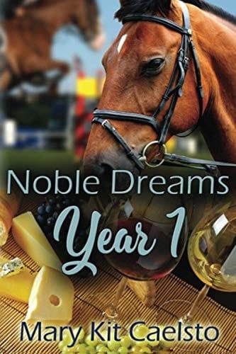 Noble Dreams Year 1: A Boxed Set Books 1-5