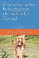 Cómo Aumentar la Inteligencia de Un Cocker Spaniel Un Perro Cocker Spaniel Más Inteligente Es Más Obediente