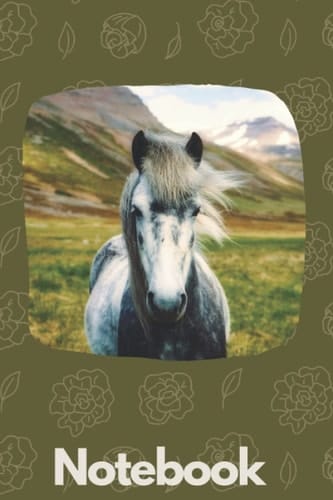 note book: lined note book gift for girl or boy